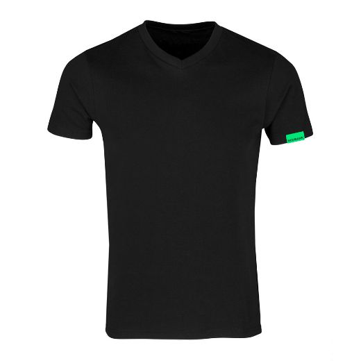 Picture of Mens V-Neck Tee
